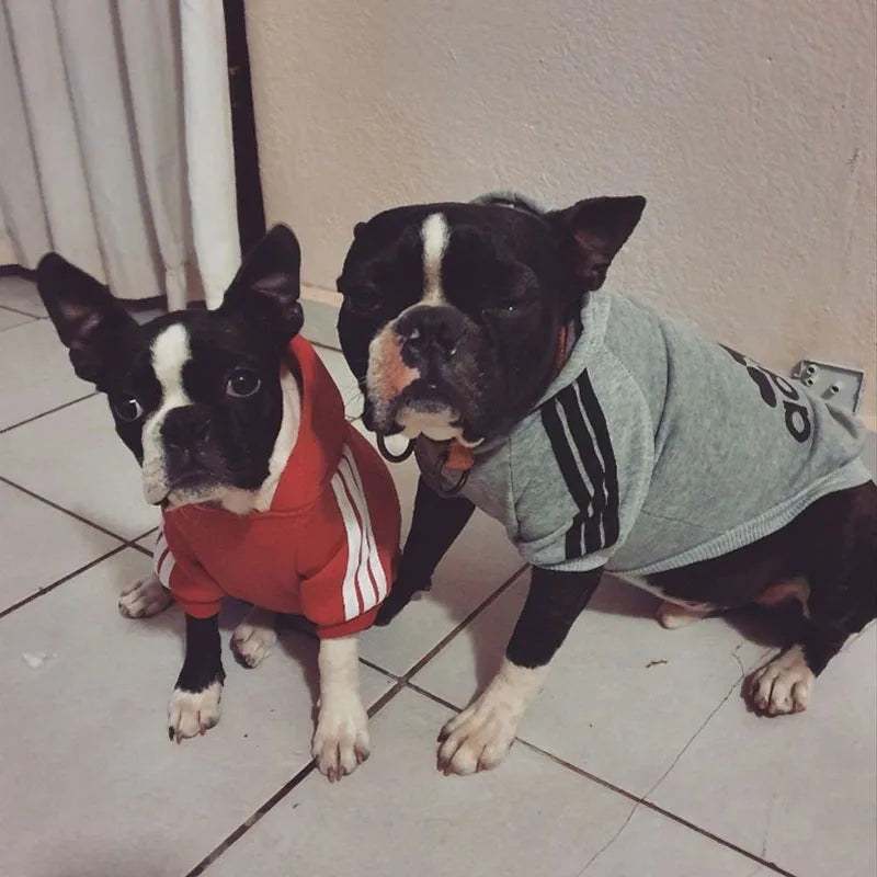 CozyPaws Winter Dog Hoodie & Coat for Small to Large Pets