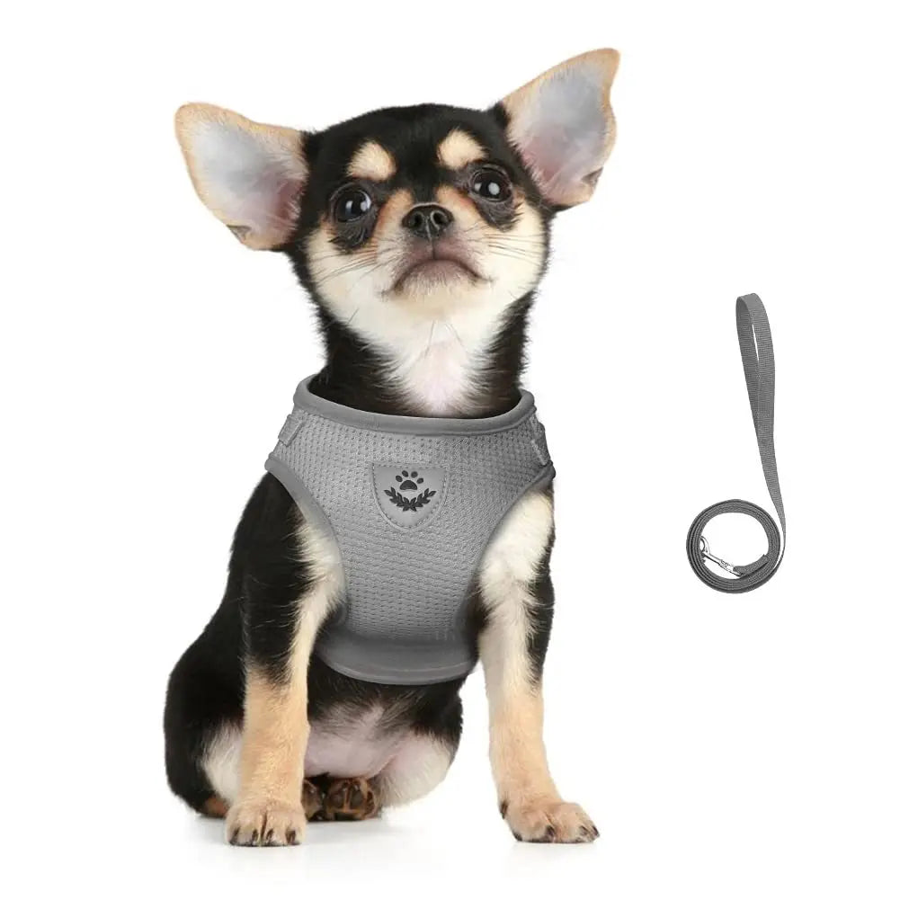 Reflective Cat & Dog Harness with Leash Set – Adjustable Escape Proof