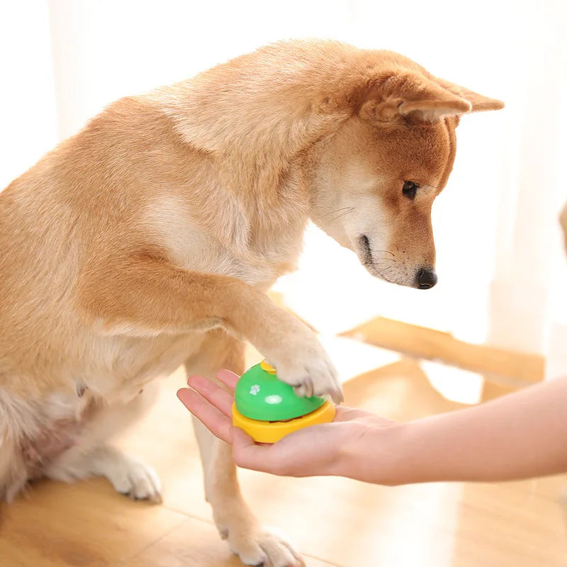 PetTraining Interactive Bell Toy for Dogs & Cats