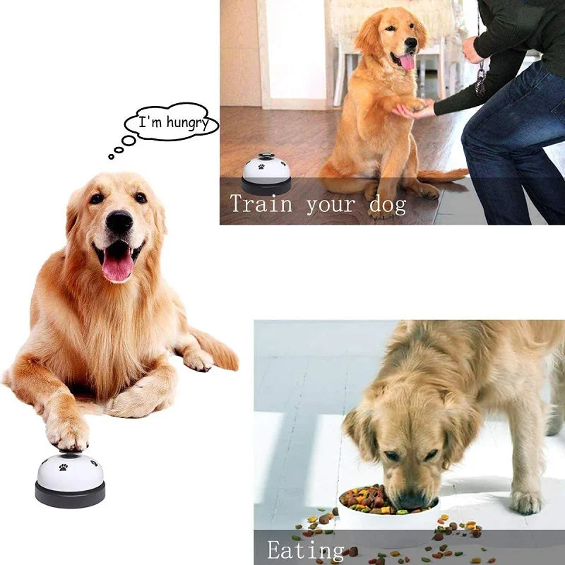 PetTraining Interactive Bell Toy for Dogs & Cats