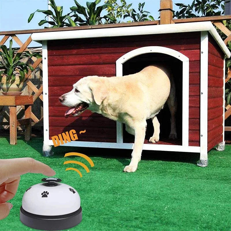 PetTraining Interactive Bell Toy for Dogs & Cats