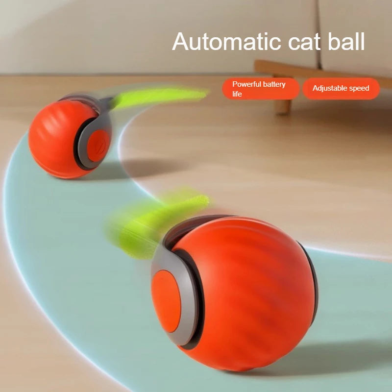 PawRoller Toy